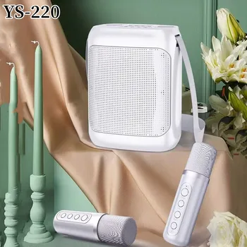 YS-220 100W Maksimālā lieljaudas Bluetooth Skaļruņi Portatīvas Skaņu Kaste Iekārtu Ar Bezvadu Mikrofons Āra Ģimenes Skaļrunis Karaoke